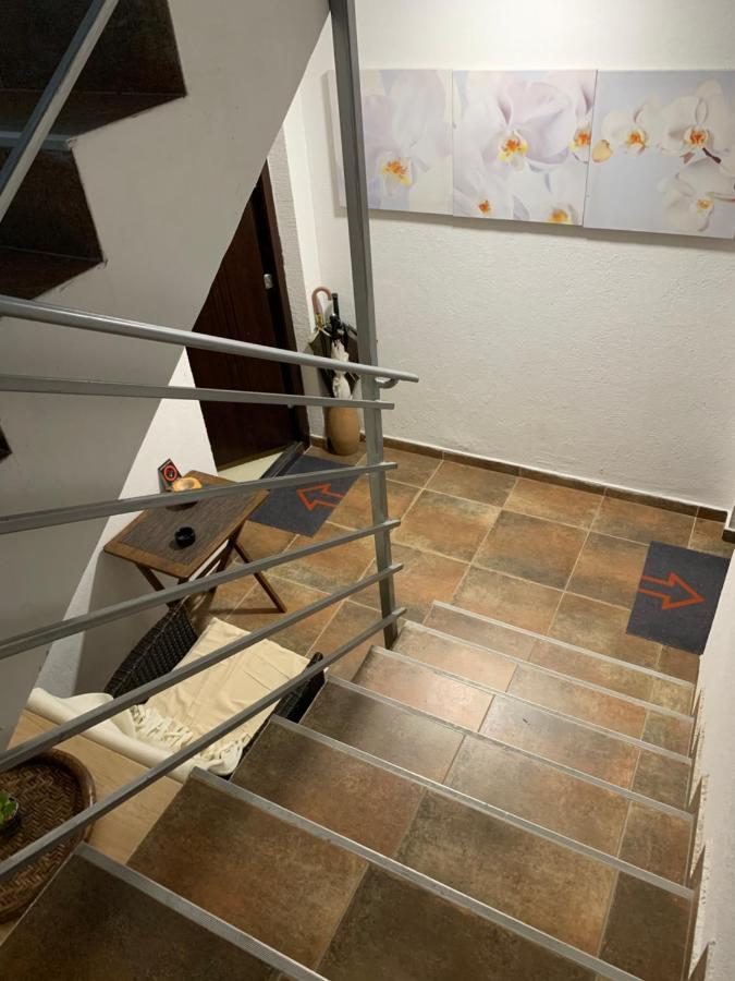 N6 Apartment Novi Sad Dış mekan fotoğraf
