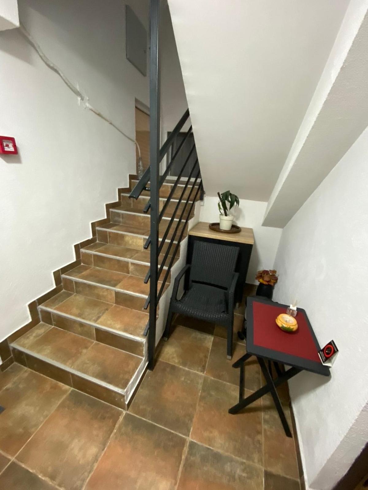 N6 Apartment Novi Sad Dış mekan fotoğraf